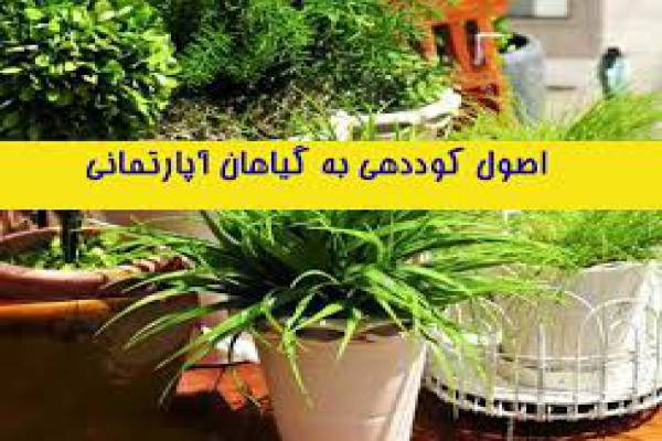 فروش کود گیاهان آپارتمانی-خرم آباد