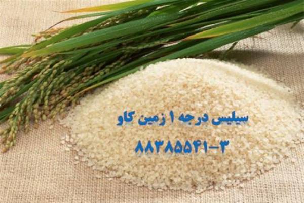 فروش زئولیت، کاربرد زئولیت، خصوصیات زئولیت-تهران