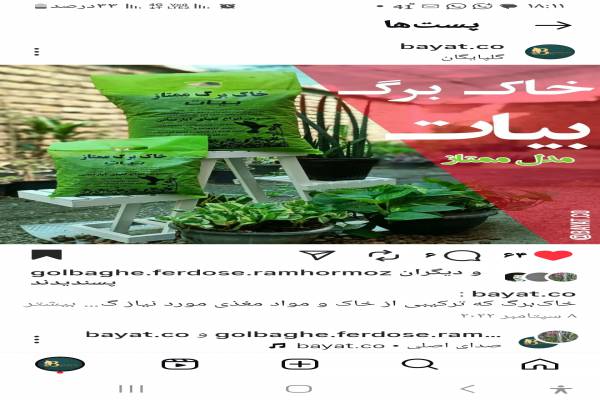 خاک برگ کود و سم گیاه خاک