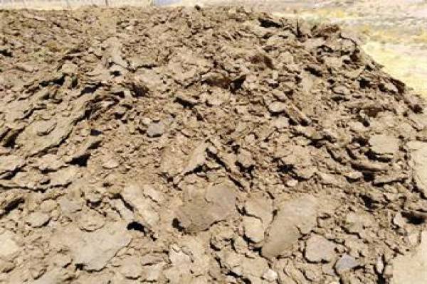 فروش کود گاوی پوسیده در قم