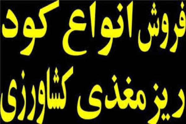 عرضه وتولید انواع کودهای ریزمغذی-زنجان