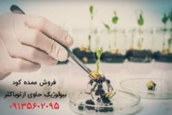 فروش عمده کود بیولوژیک ازتوباکتر_ اصفهان