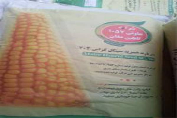 فروش کود بذر یونجه در اصفهان