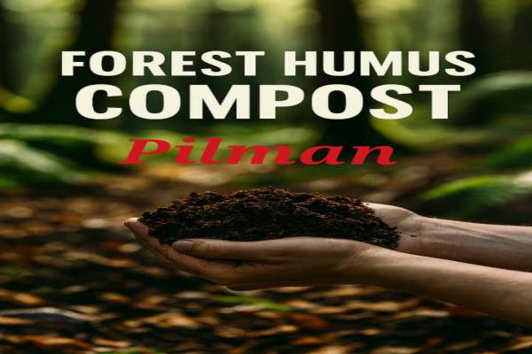 کمپوست جنگلی هوموس پیلمن 