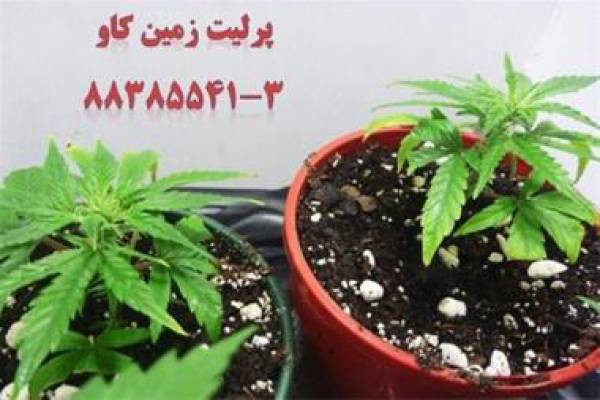 فروش پرلیت کشاورزی و باغبانی در تهران