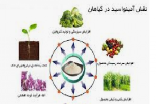 فروش کود مایع آمینو اسید _تهران