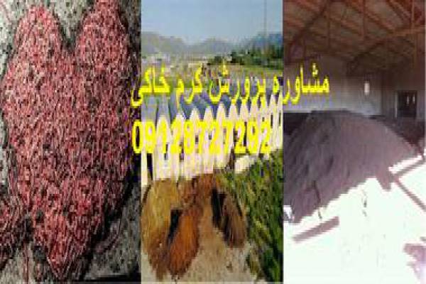 فروش کود ورمی کمپوست-کرمان
