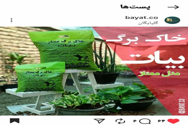 خاک برگ کود و سم گیاه خاک