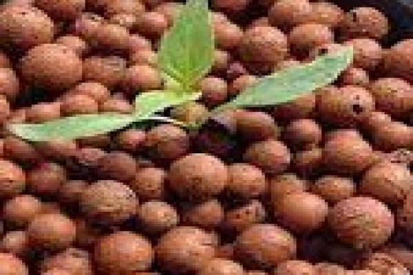 فروش پوکه لیکا 50 لیتری صنایع کود مارال