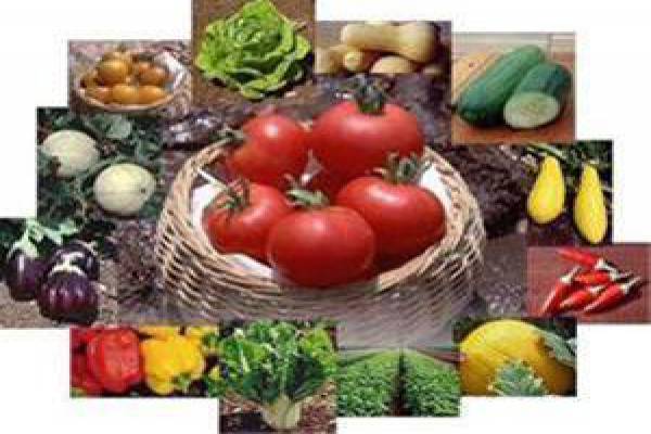 فروش کودهای ریز مغذی در تهران