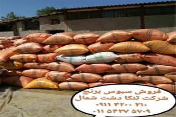 فروش پوشال برنج در کشاورزی در کرمانشاه