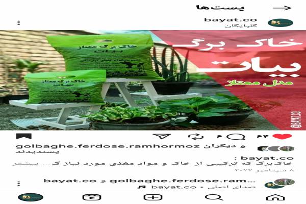 خاک برگ کود و سم گیاه خاک