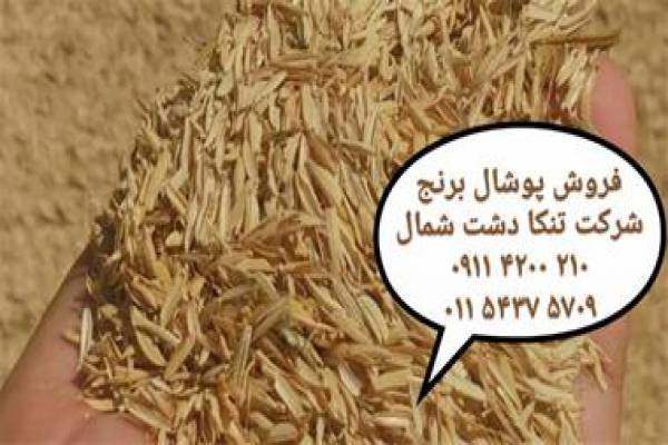 فروش پوشال برنج در کشاورزی-شیرود مازندران