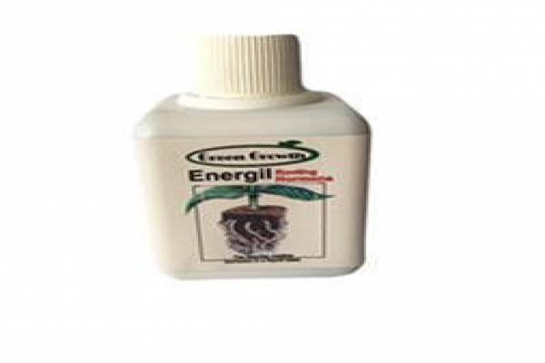 فروش هورمون ریشه زائی Energil در مشهد