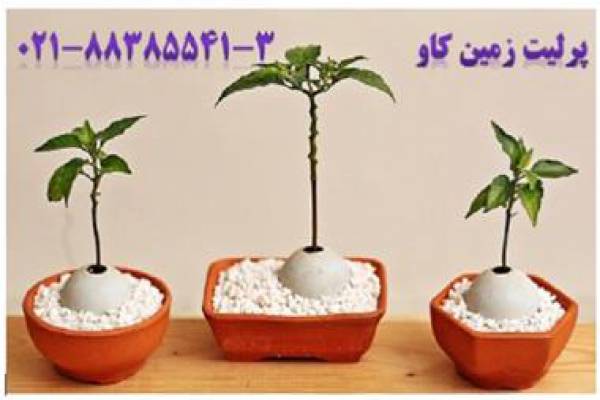 مزیت استفاده پرلیت در کشاورزی - تهران