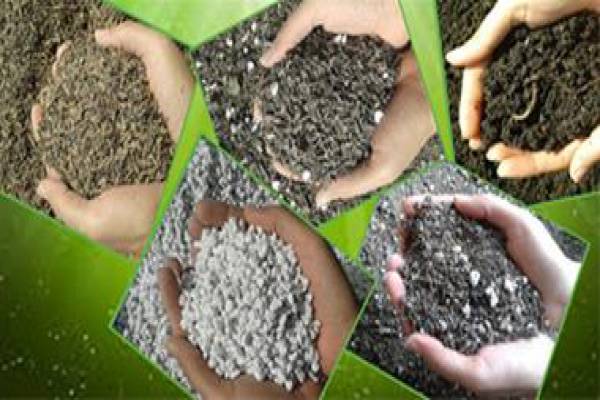 فروش کود ورمی کمپوست و خاک برگ چیکال -استان البرز